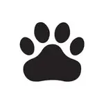 Scottish SPCA 🐾 avatar