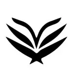 Sockscarving ® avatar
