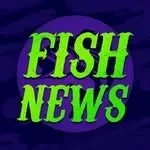 TALKING FISH NEWS avatar