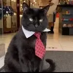 Jeremy avatar