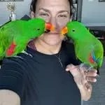 Jen Greenberg avatar